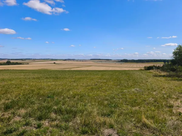 Terrain 1771 m²