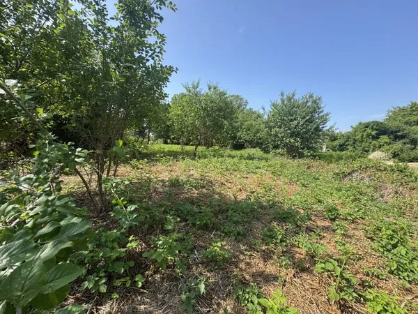 Terrain 1310 m²