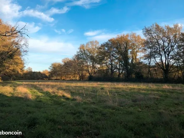 Terrain agricole libre de 2,25 ha d'un seul tenant - accès goudronné et eau à proximité