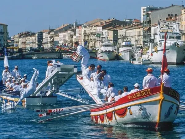Viager 1 pièce