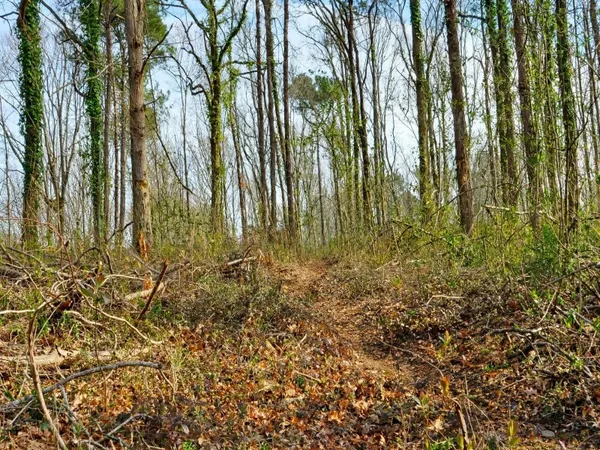 Terrain 2357 m²