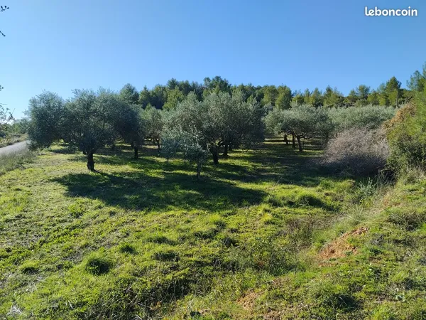 Bien agricole et foncier Vente Puisserguier 28500€