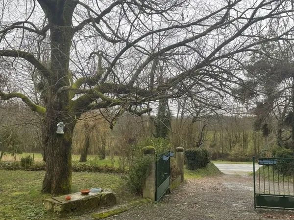 Maison plus maisonnette-gîte