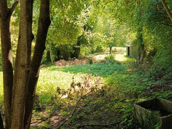Terrain avec rivière