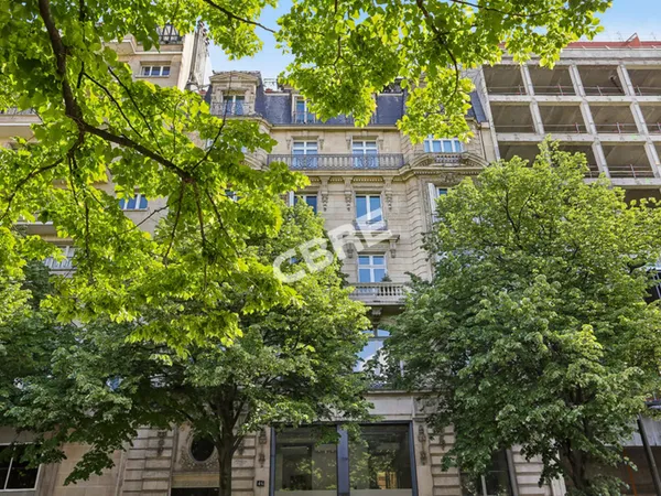Local professionnel 457 m²