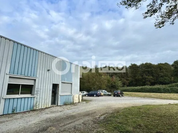 Bureau 130 m²
