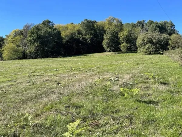 Terrain 2116 m²
