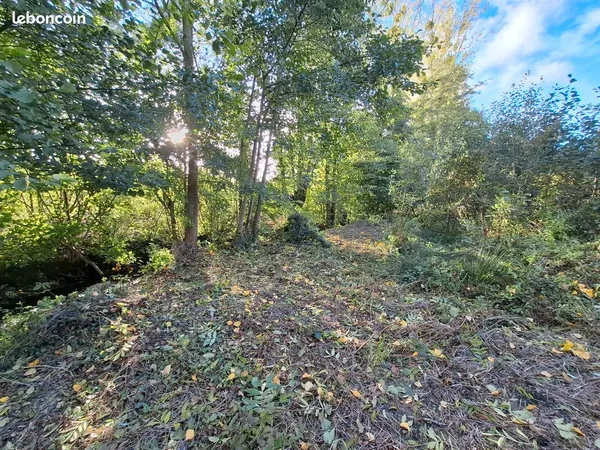 Terrain en bordure de rivière