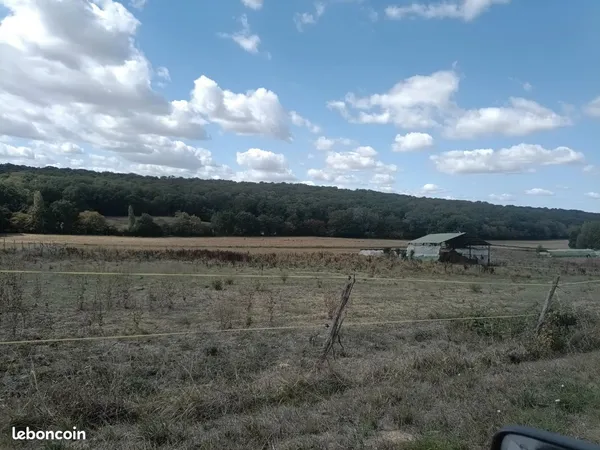 Prairie pour chevaux