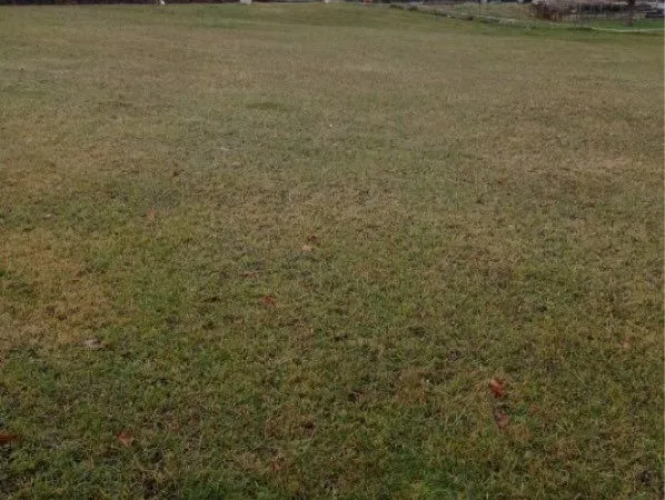 TERRAIN VIABILISÉ 1543m2 LAVERGNE