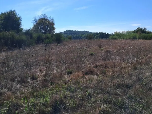 Terrain 2908 m²