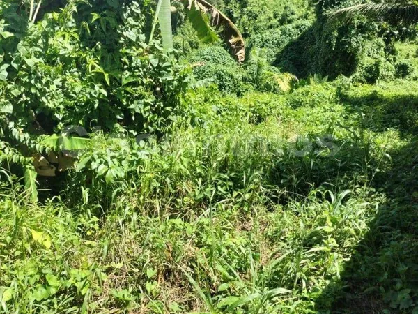 Terrain constructible 2592 m²