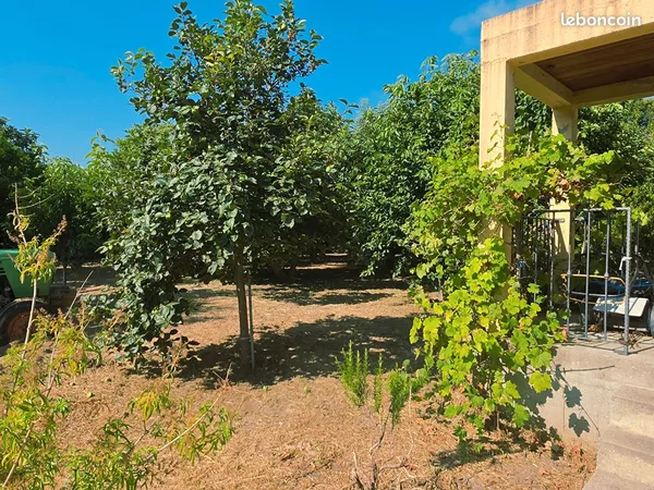 Propriété 6 pièces 217 m²