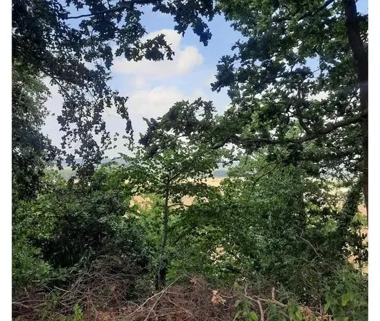 Terrain de loisir 4700 m2