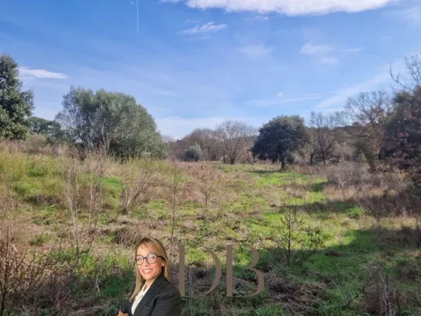 Terrain 1462 m²