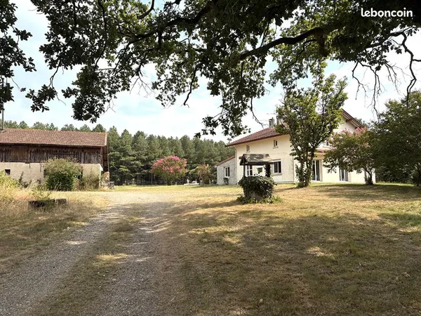 Propriété 7 pièces 223 m²