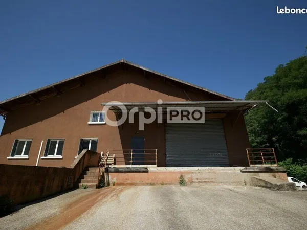 Local d'activité 450 m²
