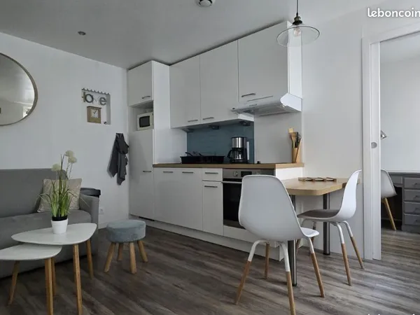 Appartement T2 meublé entièrement rénové - 23 m²