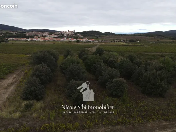 Terrain 7102 m² Montner
