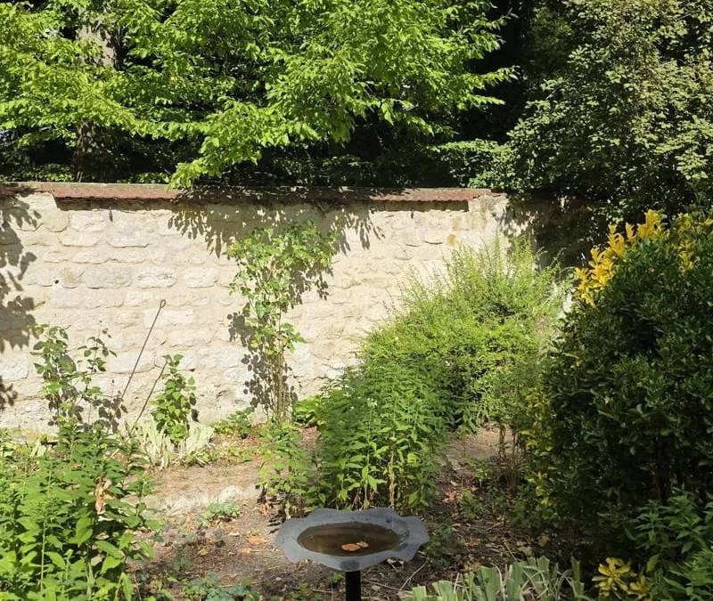 Photo 6