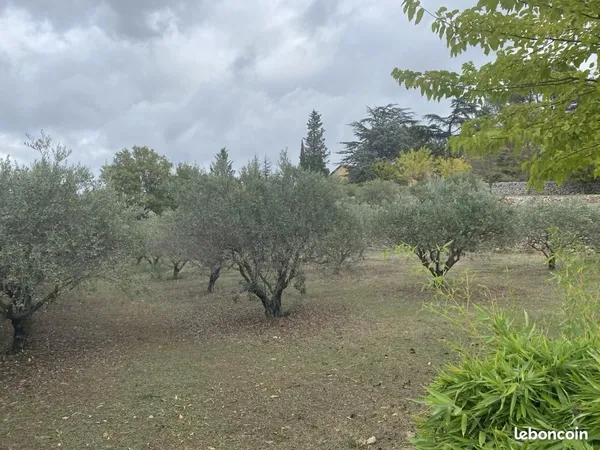Terrain 1 200 m² Saint Maximin La Sainte Baume