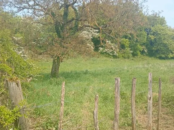 Terrain à vendre