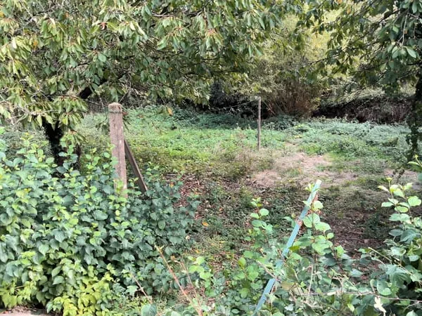 Maison au calme à Cesson-Sévigné, environnement verdoyant