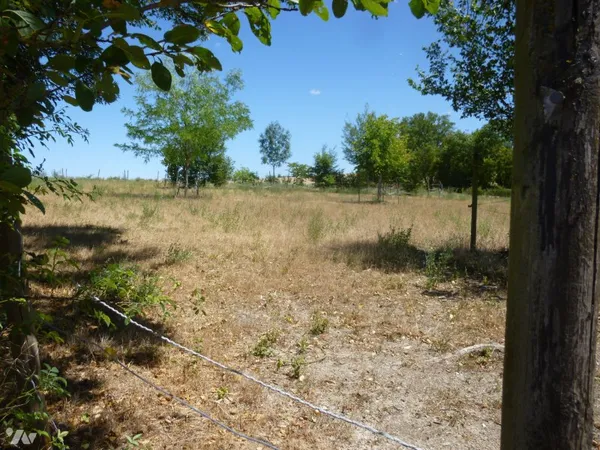 Terrain 4247 m²