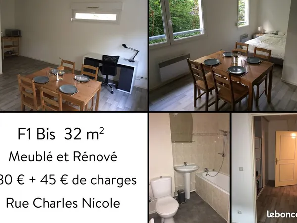 F1 bis 32 m² meublé + parking - quartier Hôpital