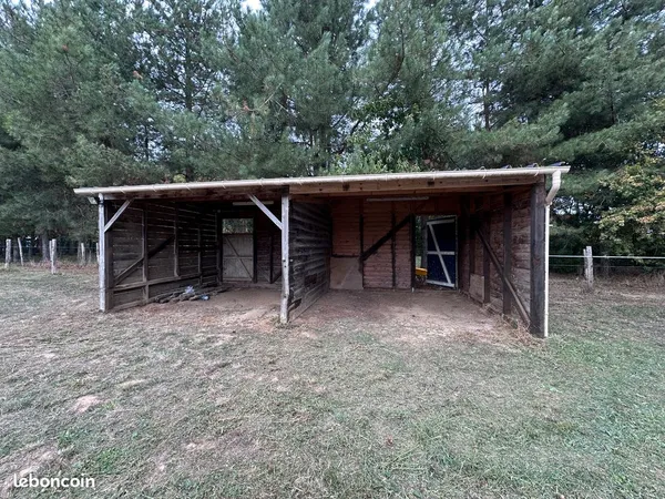 Paddock avec box de prairie pour chevaux