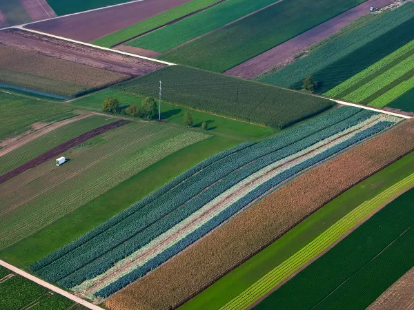 Le bail rural (bail à ferme) : statut du fermage, durée, prix et préemption du preneur — le guide 2026
