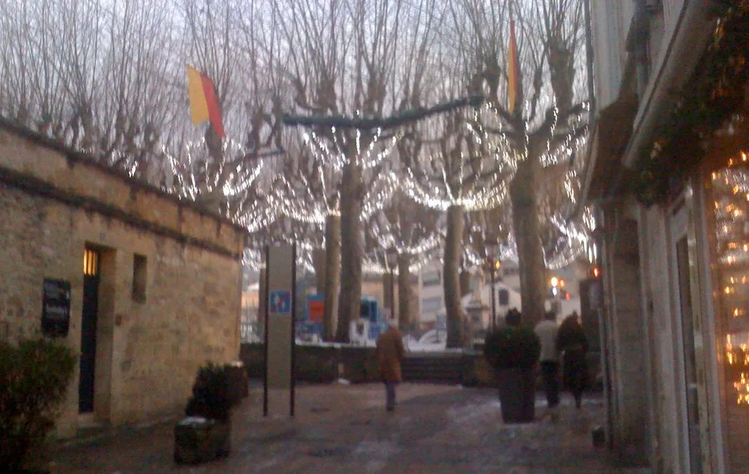 Photo 1