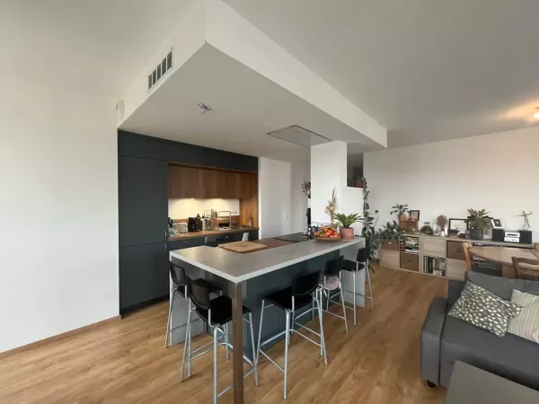 Vends appartement 110m²