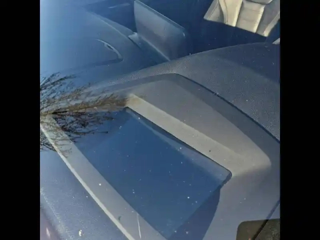Bmw X4 xdrive20d 190 ch bva8 — photo 58