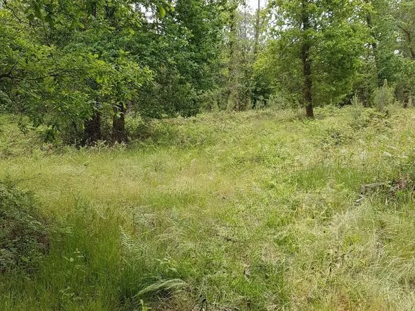 3hectares,19 forêt bord de rivière de châtaigner, chênes, peupliers...