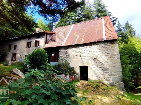 Maison au milieu des bois