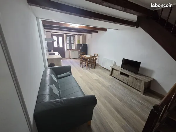 Appartement entièrement rénové- 50m2 au centre de Culoz