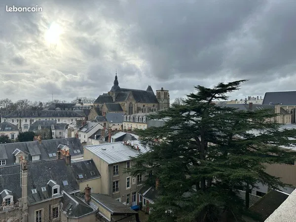 Grand t2 meublé hyeprcentre le mans