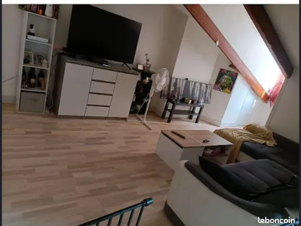 3 Pièces · 64 m² carrez 84 m2 au sol · Saint-Étienne 42000 · Rue Palluat de Besset