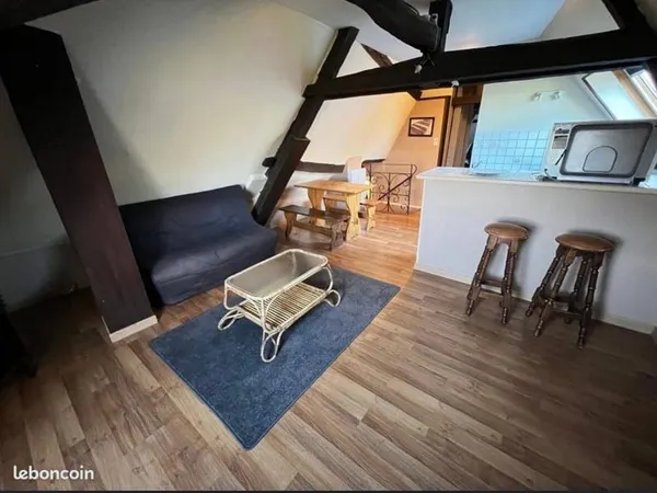Appartement 1 pièce 26 m²