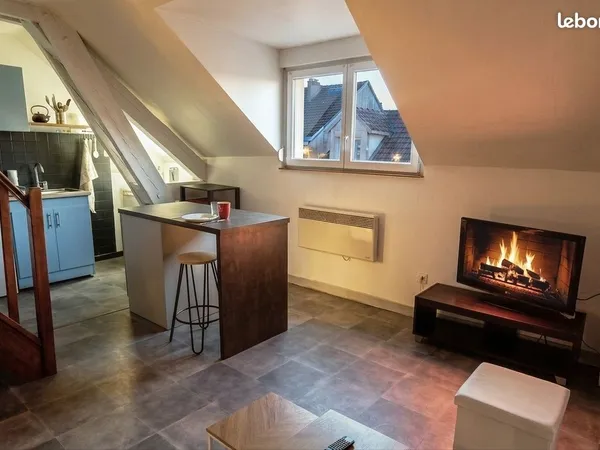 Duplex meublé, T2, plein centre ville