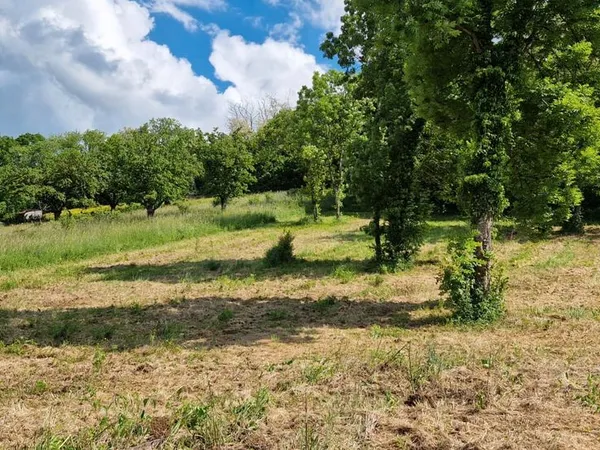 Terrain 1305 m² SAINT GEORGES SUR ALLIER