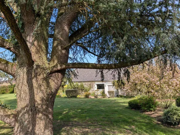 Maison 6 pièces 198 m²