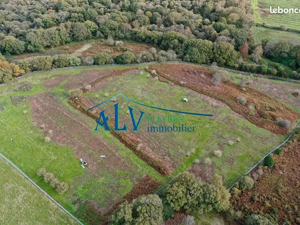 Terrain 24030 m² SAINT THOIS