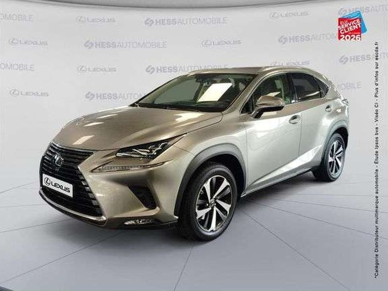 Lexus NX Lexus NX 300h 4WD Executive Innovation MY21 — photo 1