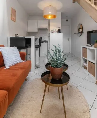 Meuble f1 27 m² vichy centre