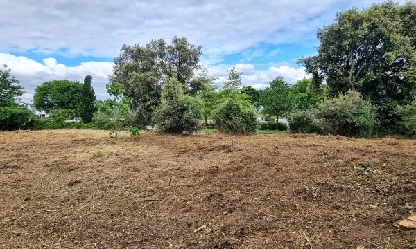 Terrain 484 m²