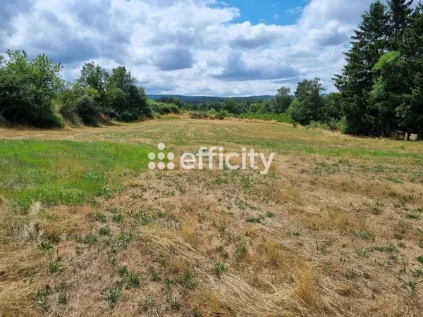 Terrain à bâtir Vente Blavignac  4460m² 69000€