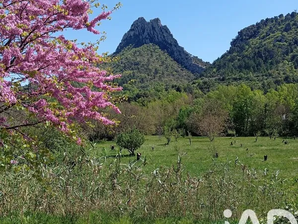 Terrain 11771 m² Buis-les-Baronnies