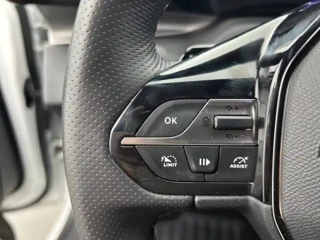 Peugeot 308 sw phev 225 e-eat8 — photo 20